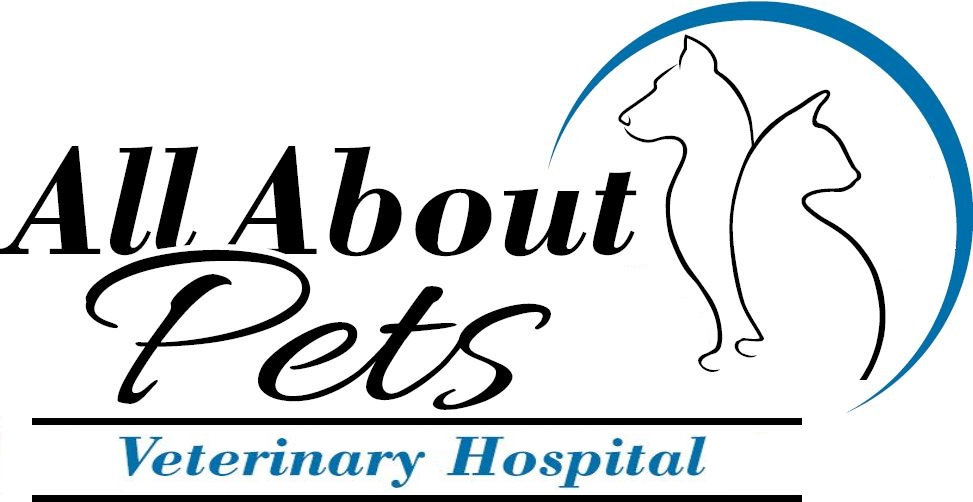 All About Pets